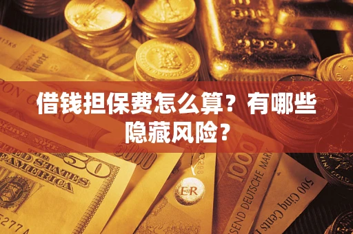 武汉借钱担保费怎么算？有哪些隐藏风险？