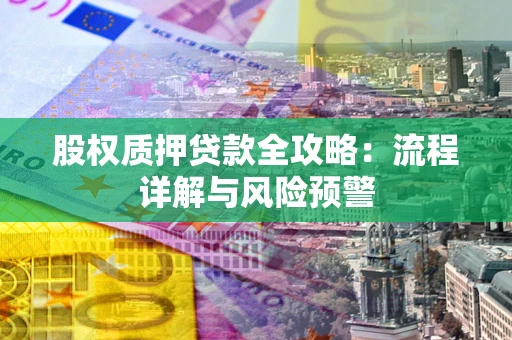 武汉股权质押贷款全攻略：流程详解与风险预警